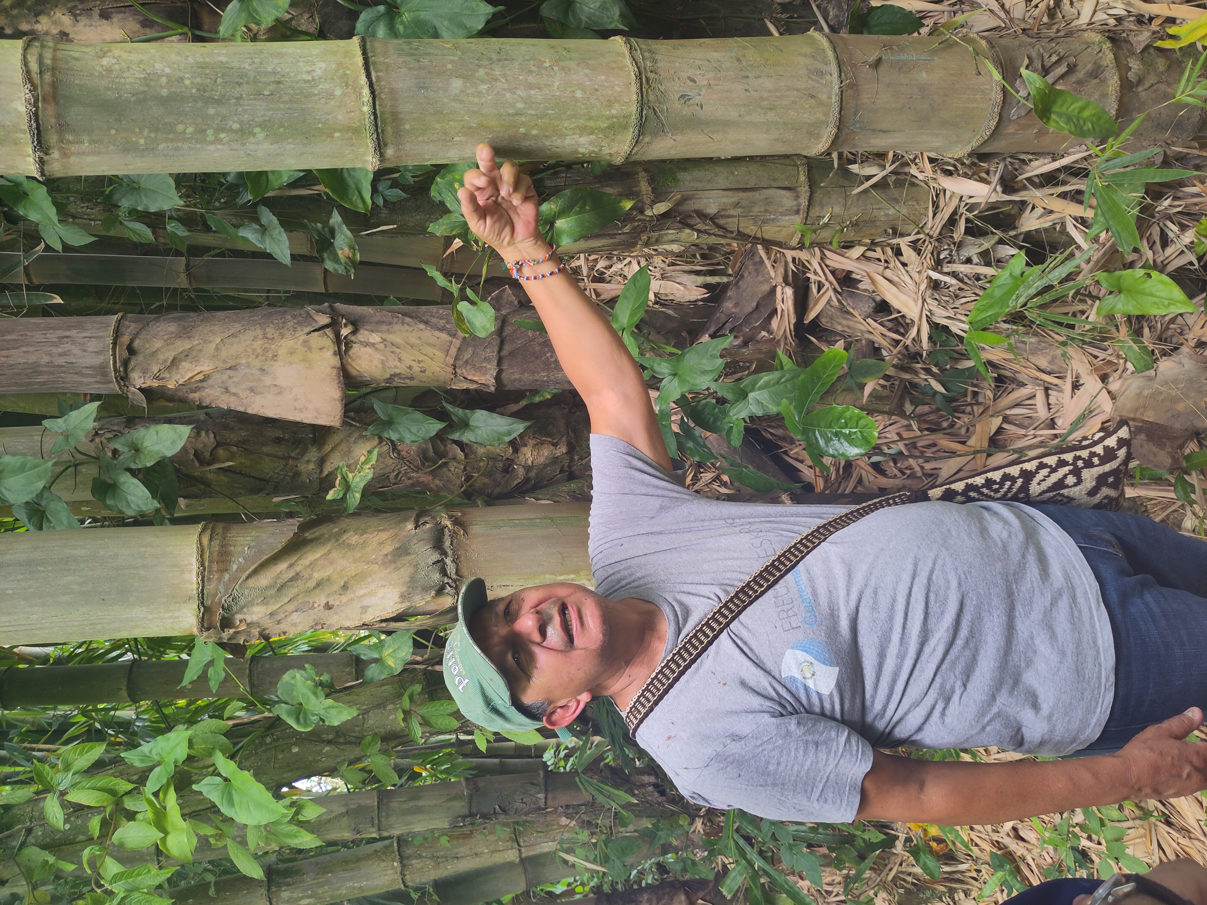 Bambus - Baumaterial für Schulbauten